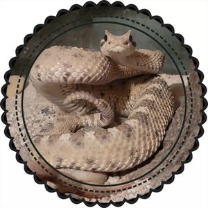 Meet your Posher, Theresa